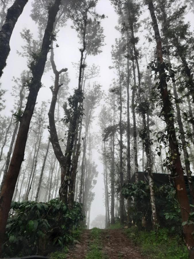 Coorg Happy Estate Stay Madikeri Esterno foto