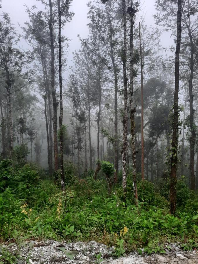 Coorg Happy Estate Stay Madikeri Esterno foto